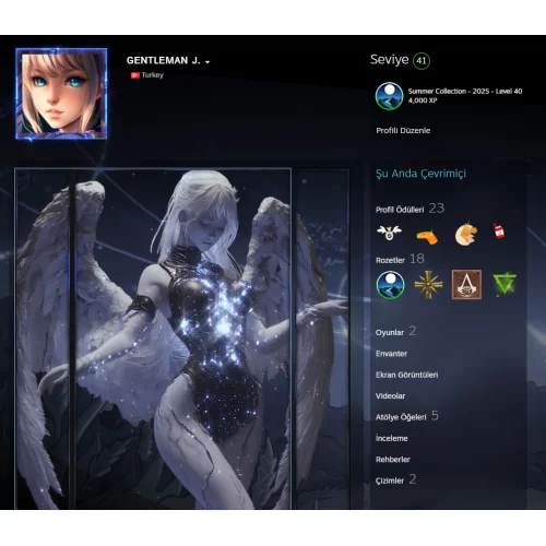  10Madalyalı 4570 Saat 7 Yıllık 42 level Steam